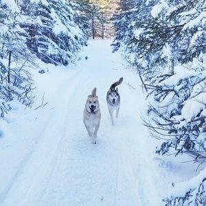 Meet your Posher, Cecilia